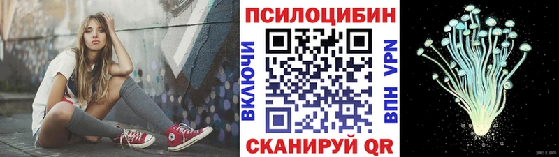 площадка Telegram  ссылка на мегу ONION  Кашин  дарнет шоп  Псилоцибиновые грибы прущие грибы 